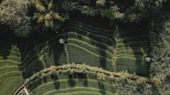 Sola Bestekset Bali - Modern - 9 Persoons - 90 Delig - Zilverwit Edelstaal 18/10 - RVS - Zilver -Kookgerei Serviesgoed Winkel 1200x675 8