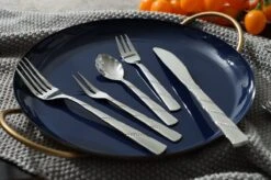 Swiss Pro+ Bestekset In Koffer-72 Delig-12 Persoons-Zwitsers Kwaliteit-Complete Set-100% Roestvrijstaal-Modern 22 Swiss Pro+ Bestekset In Koffer-72 Delig-12 Persoons-Zwitsers Kwaliteit-Complete Set-100% Roestvrijstaal-Modern -Kookgerei Serviesgoed Winkel 1200x799 38