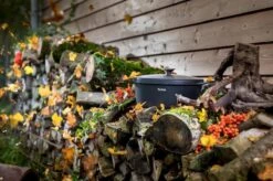 Tefal Trattoria Braadpan - Ø28 Cm - Inclusief Deksel -Kookgerei Serviesgoed Winkel 1200x799 6