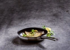 BK Allround Koekenpan Ø 24 Cm - Inductie - PFAS-vrij -Kookgerei Serviesgoed Winkel 1200x851